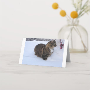 Carte De Placement chat des forêts norvégiennes dans la neige