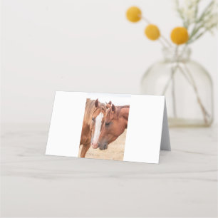 Carte De Placement Chevaux étourdissant dans un pâturage