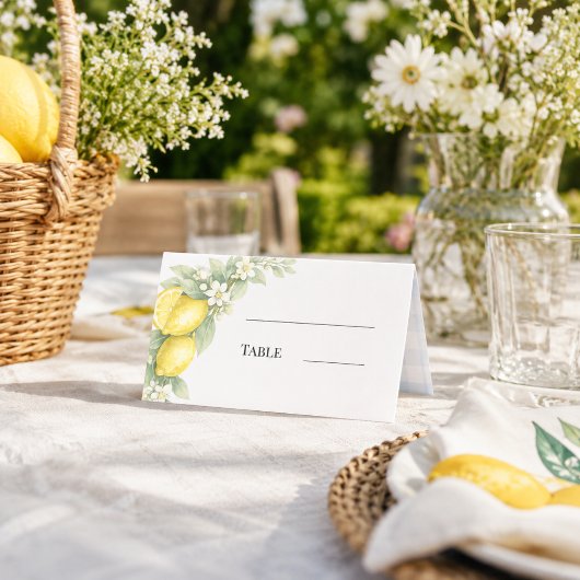 Carte De Placement Citron bleu à carreaux gingham pour garden-party