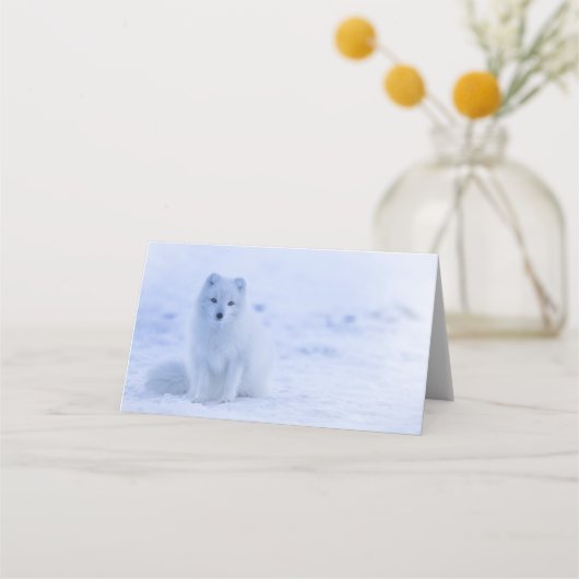 Carte De Placement Cute Arctic Fox sur Snowy Winter Arrière - plan (Devant)