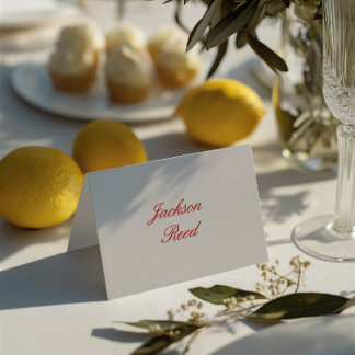 Carte de placement élégante pour invité de mariage