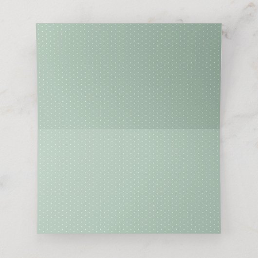 Carte De Placement En vichy vert mignon baby shower garçon simple (Intérieur déplié)