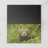 Carte De Placement Ferret Brown mignon dans l'herbe photo (Extérieur déplié)