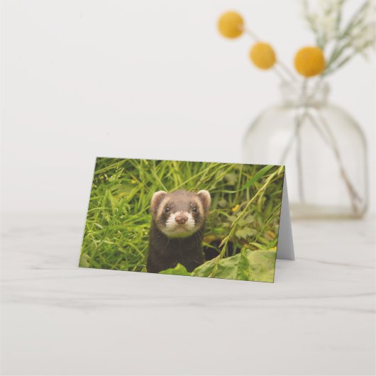 Carte De Placement Ferret Brown mignon dans l'herbe photo (Devant)