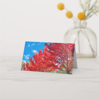 Carte De Placement Feuilles D'Arbre Rouge Lumineux En Automne