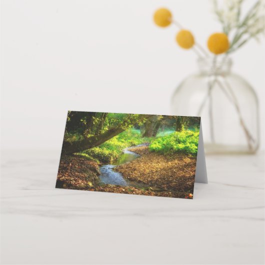 Carte De Placement Forest Creek Belle nature Paysage Photo (Devant)
