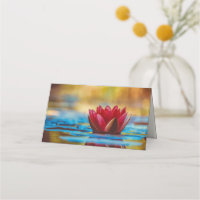 Jolie photo d'une fleur de Lotus dans un étang