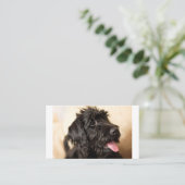 Carte De Placement Labradoodle Standard, 3,5 pouces x 2,0 pouces (Debout devant)