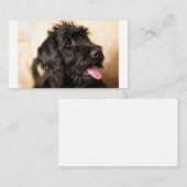 Carte De Placement Labradoodle Standard, 3,5 pouces x 2,0 pouces (Devant / Derrière)