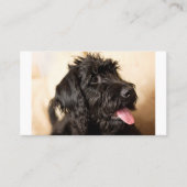 Carte De Placement Labradoodle Standard, 3,5 pouces x 2,0 pouces (Devant)