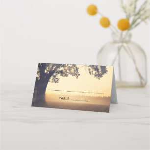 Carte De Placement Mariage de rêve de soirée d'été