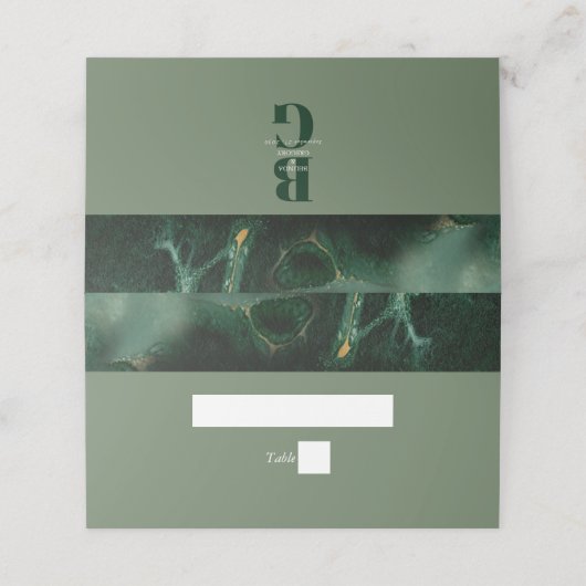 Carte De Placement Mariage moderne en marbre vert (Extérieur déplié)