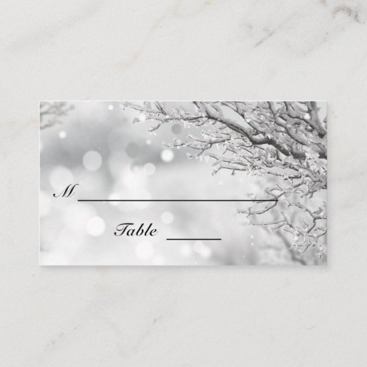 Carte De Placement Neige mousseuse et glace Mariage d'hiver plat (Dos)