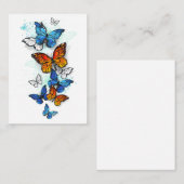 Carte De Placement Papillons volants Morpho et Monarch (Devant / Derrière)