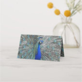 CARTE DE PLACEMENT PEACOCK PHOTO TABLE CARTE DE PLACE (Dos)