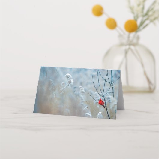 Carte De Placement Red Cardinal dans Winter Nature Photo de Christmas (Devant)