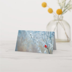 Carte De Placement Red Cardinal dans Winter Nature Photo de Christmas