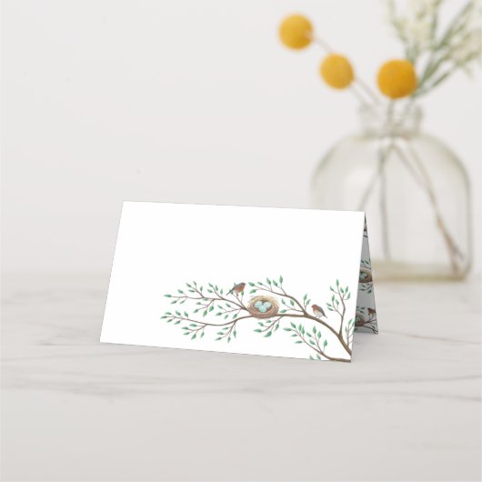 Carte De Placement Robin Oiseaux Nid Oeufs Baby shower de printemps (Devant)