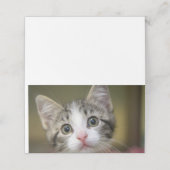 Carte De Placement Un mignon chaton aux yeux verts (Extérieur déplié)