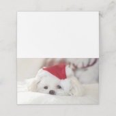 Carte De Placement Un mignon chien blanc dans un Casquette de Noël ro (Extérieur déplié)