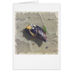 Carte de PLAGE de MOULE