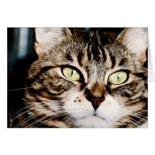 Carte de plan rapproché de plots réflectorisés