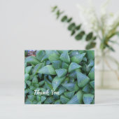 Carte de Plante Succulent de Merci modifiable 4,25 (Debout devant)