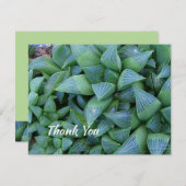 Carte de Plante Succulent de Merci modifiable 4,25 (Devant / Derrière)