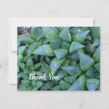 Carte de Plante Succulent de Merci modifiable 4,25