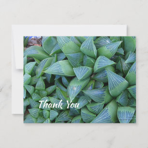 Carte de Plante Succulent de Merci modifiable 4,25