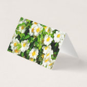 Carte de pliage Cherokee Rose (Back)