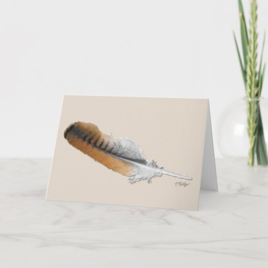 Carte de plume de Buse à queue rousse (Devant)