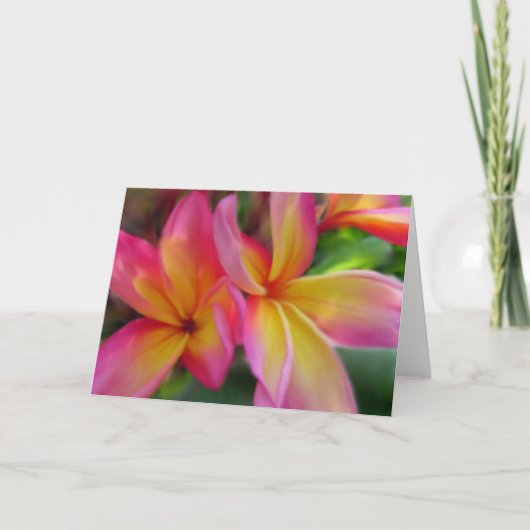 Carte de Plumeria (Devant)