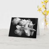 Carte de Plumeria (Fleur jaune)