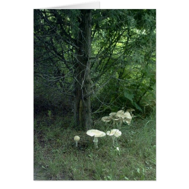 Carte de poème de beauté de champignon (Devant)