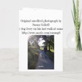 Carte de poésie de Dog Sympathy Rainbow Bridge (Dos)