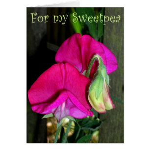 Carte de pois doux pour les amoureux