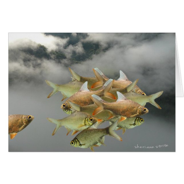 Carte de poisson et de brouillard (Devant horizontal)