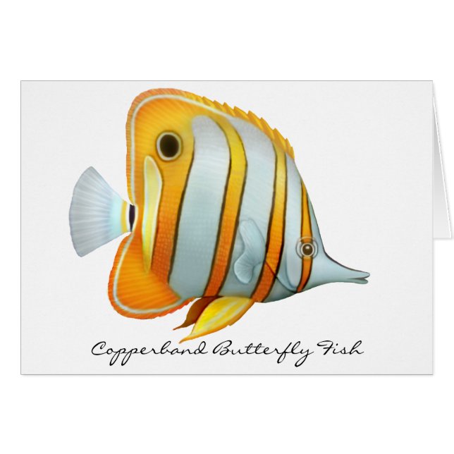 Carte de poissons de papillon de Copperband de (Devant horizontal)