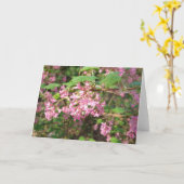 Carte de Pokey's Pink dans le parc (Fleur jaune)