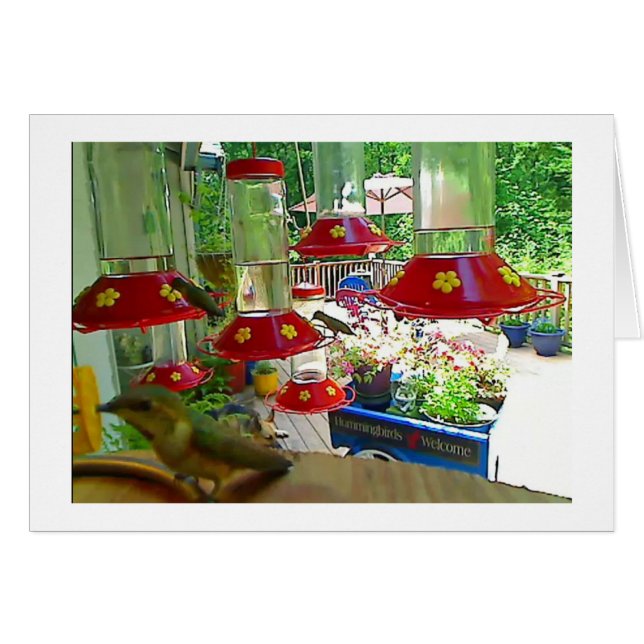 Carte de porche de colibri (Devant horizontal)