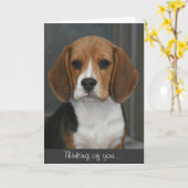 Carte de portrait de beagle (Fleur jaune)