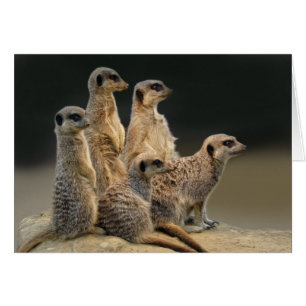 Carte de portrait de famille