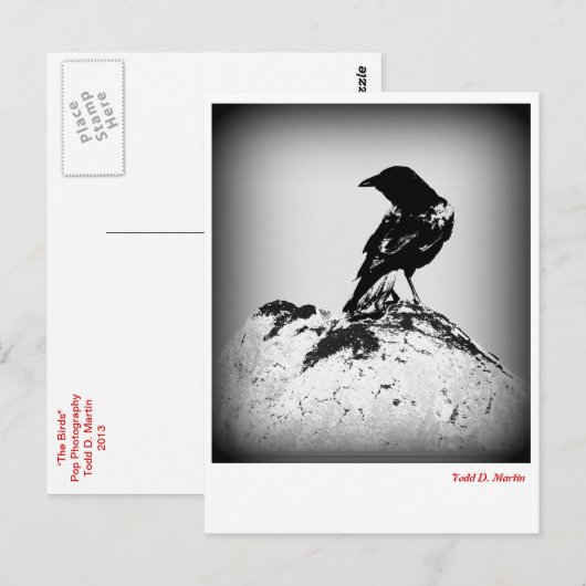 Carte de poste du corbeau (Devant / Derrière)