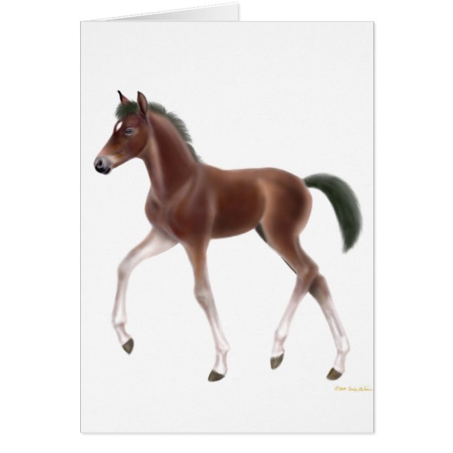 Carte de poulain de trot (Devant)