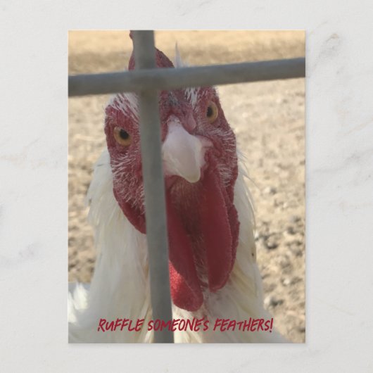 Carte de poulet qui énerve quelqu'un (Devant)