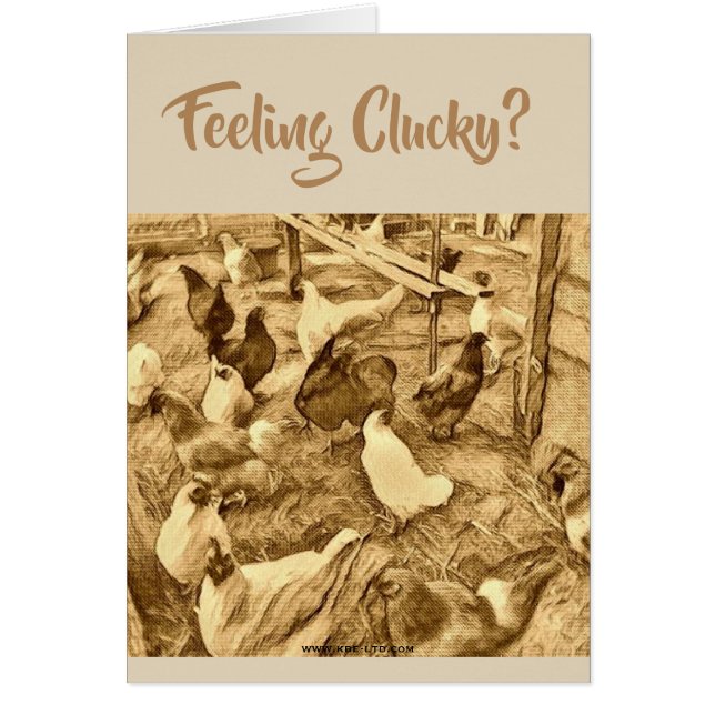 CARTE DE POULETS DE CLUCKY (Devant)