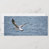 Carte de prière de prédiction (Dos)