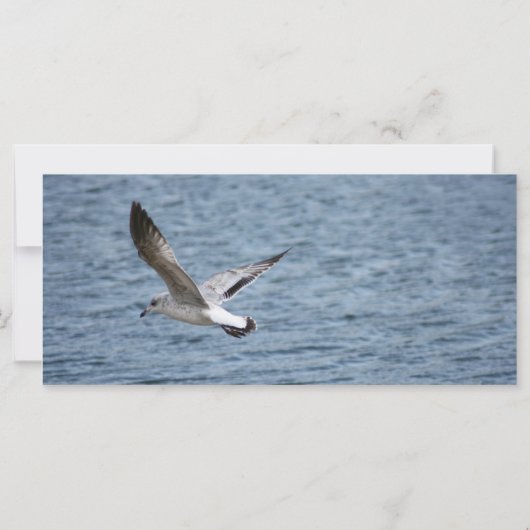 Carte de prière de prédiction (Dos)