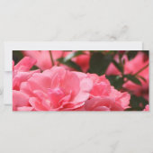 Carte de prière des Béatitudes (Dos)